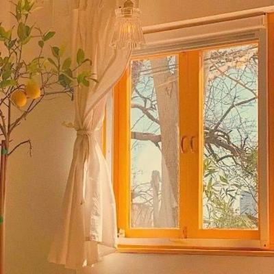 IM体育官方网站入口截图